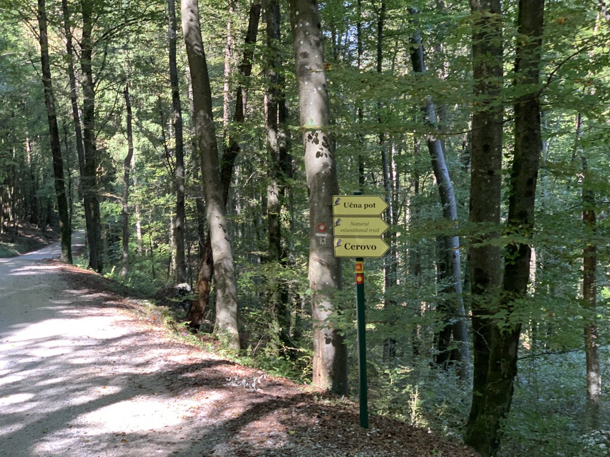 Easy to find sign back to Cerovo and the Kingfisher Park from the Tabor Fortress Church..