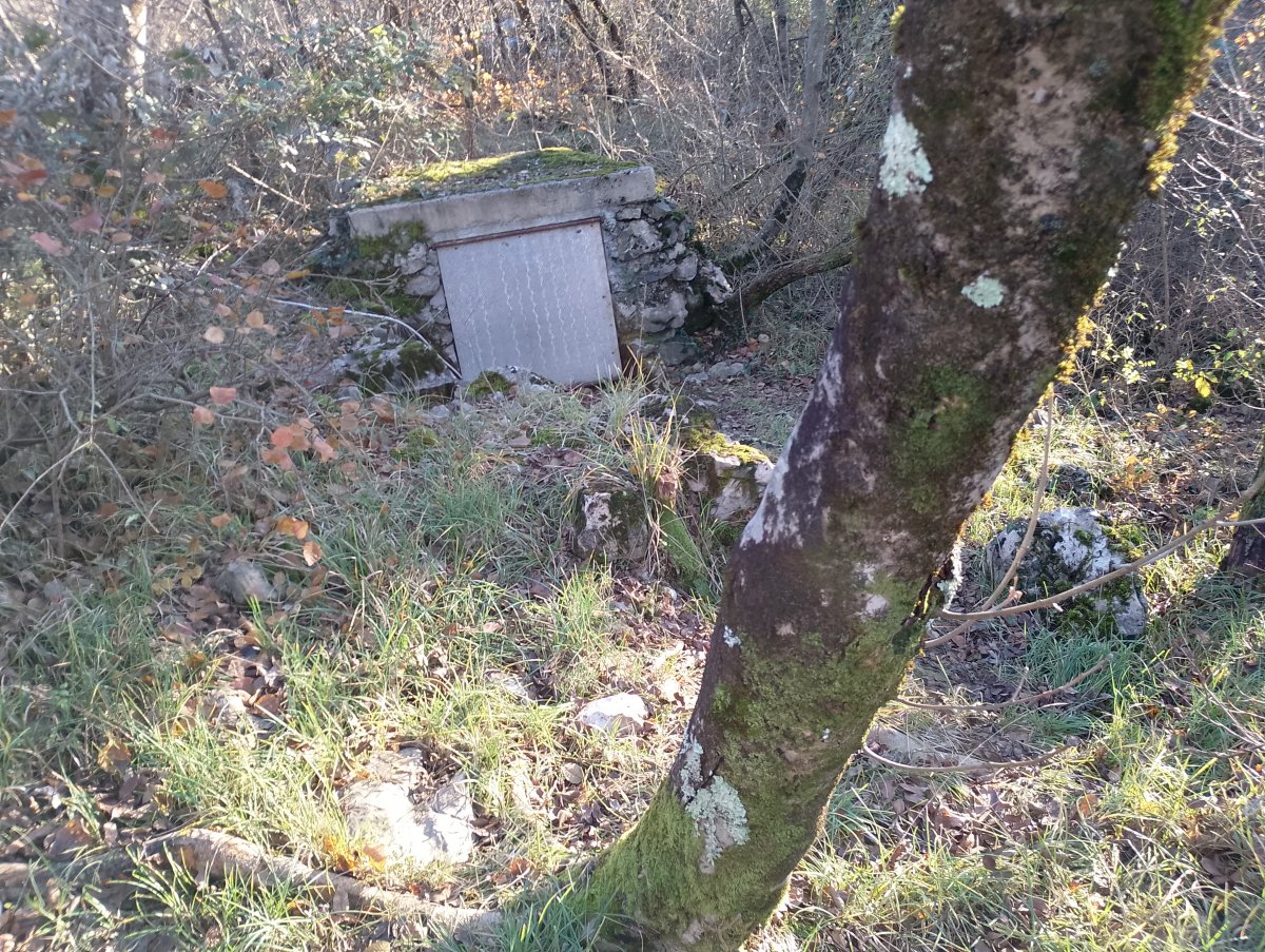 We found this shaft on top of the cave, so maybe this was where the ladder went in or was for ventilation..