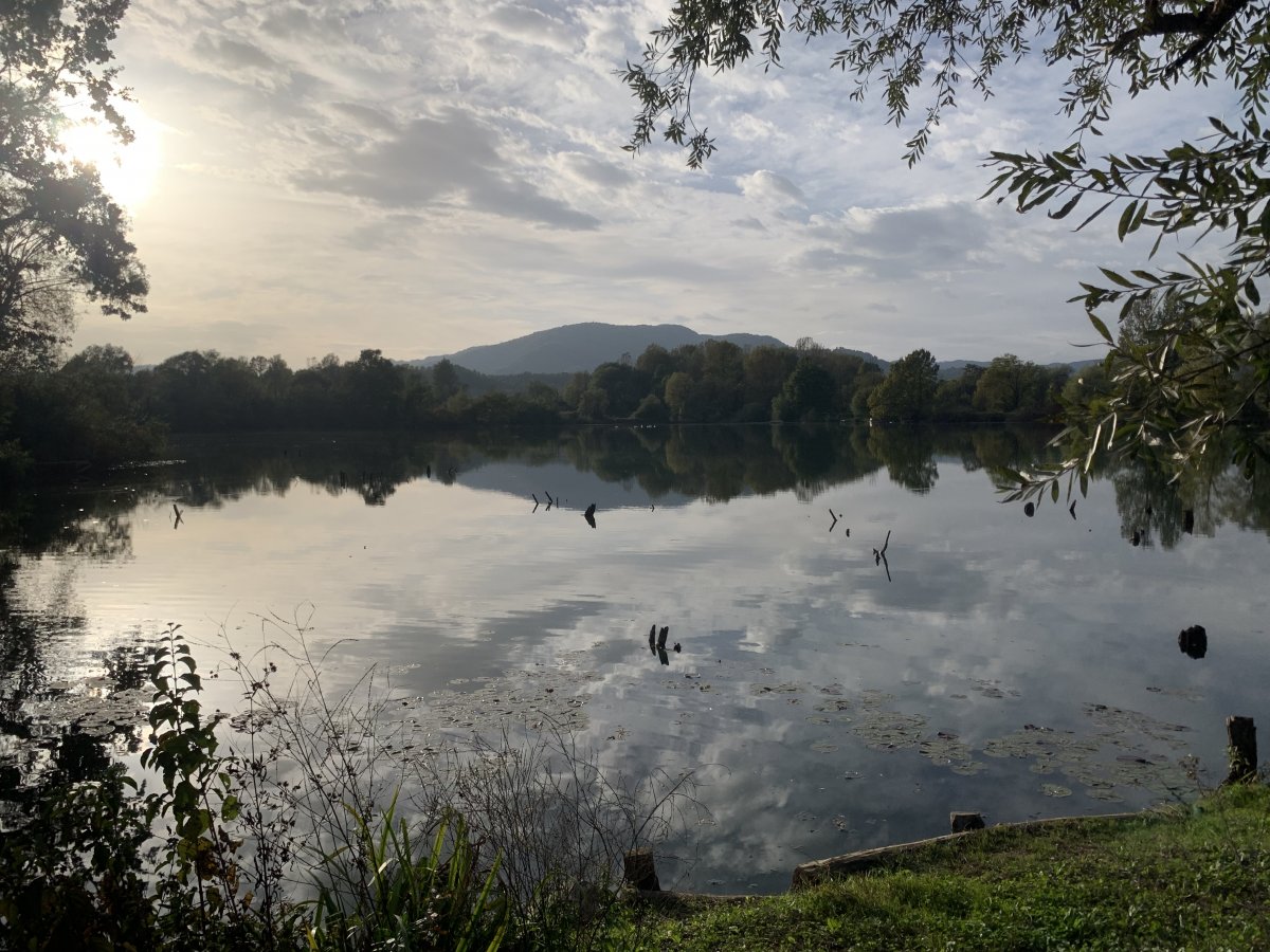 This is not a painting, it is what a recovered ex brickworks lake looks like in Green Slovenia..