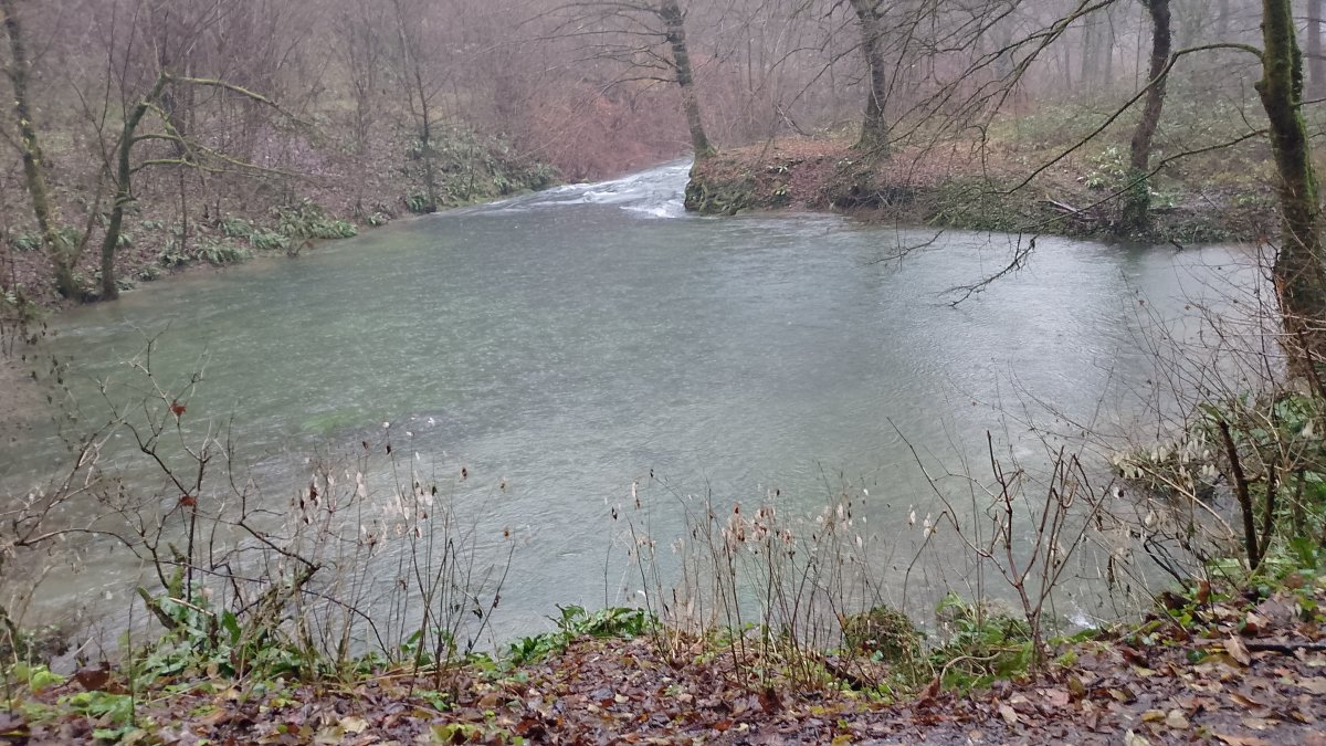 Autumn.. the Mocilnik Spring is now full..