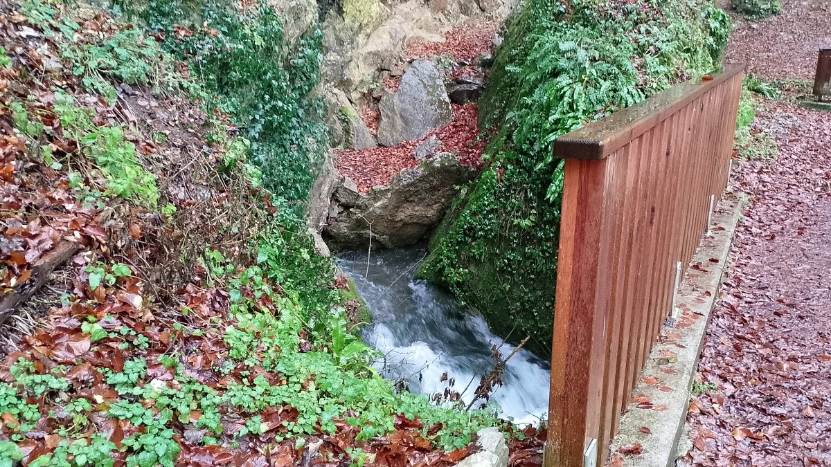 Autumn.. springs popping out from everywhere along from the Mocilnik spring..