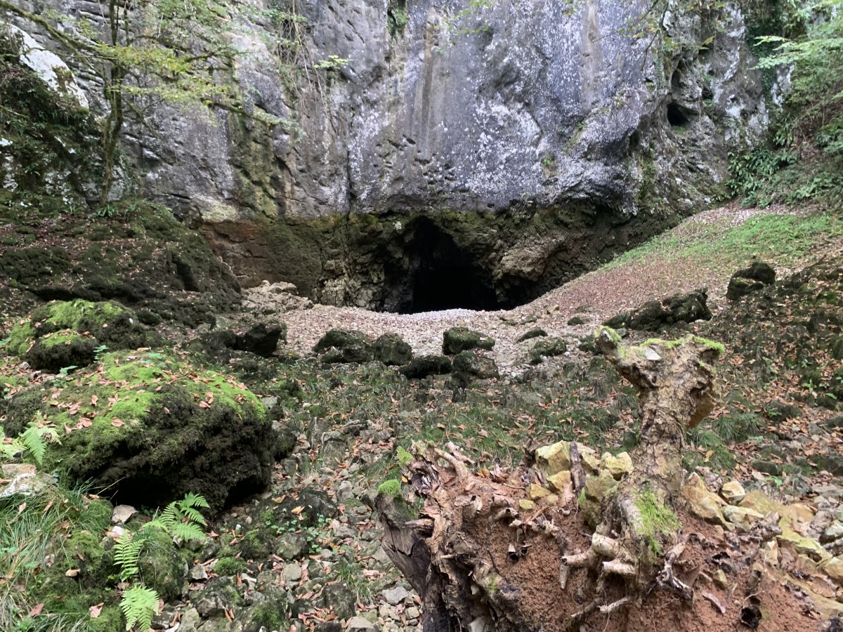 Vhrnika Springs