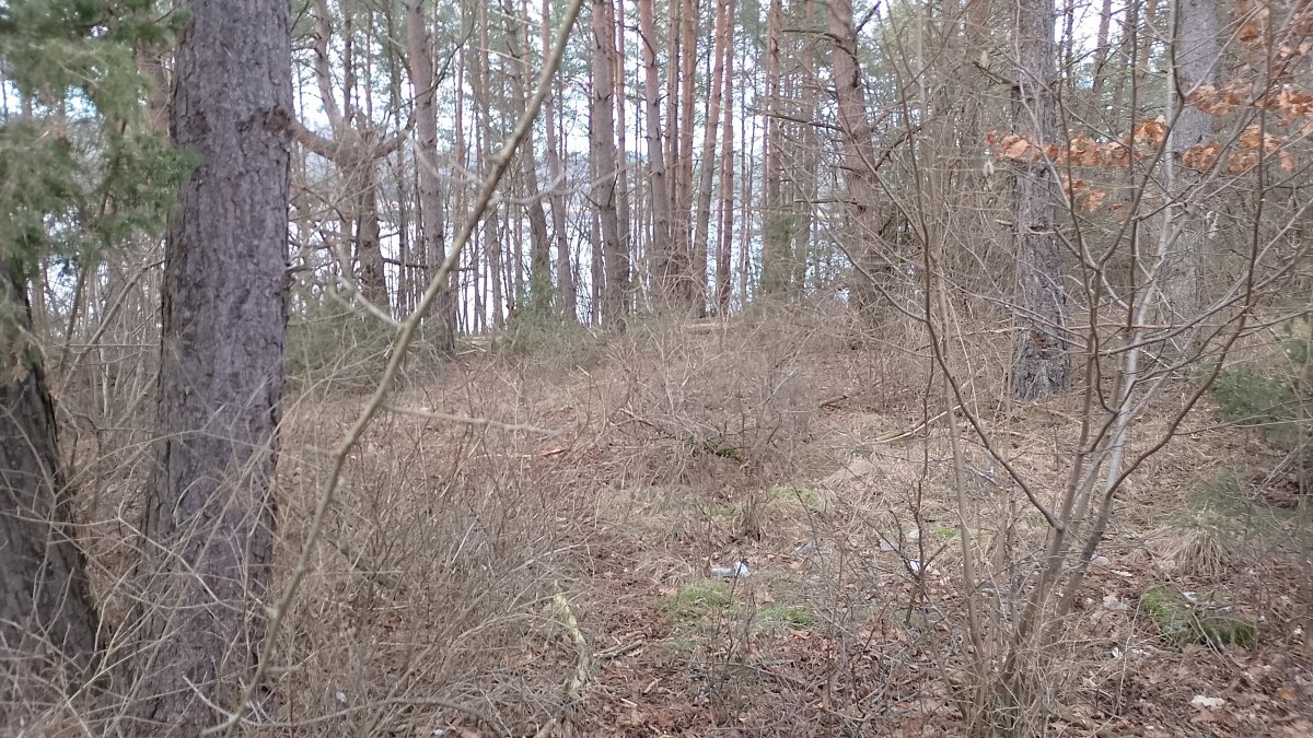 this was where we broke through and saw the lake again.. this was where we broke through and saw the lake again..