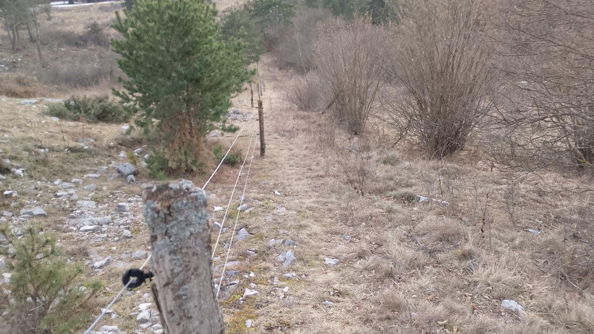 this fence is very handy to navigate back to the first corner of the lake.. use it if you need to.. this fence is very handy to navigate back to the first corner of the lake.. use it if you need to..