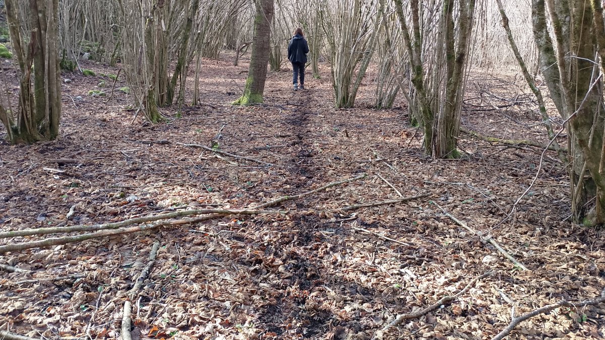 When in doubt follow the animal tracks.. When in doubt follow the animal tracks..