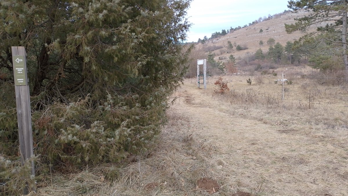 at the end of the lake, take this gate through the cow fence to hike up towards the Church of the Holy Trinity.. at the end of the lake, take this gate through the cow fence to hike up towards the Church of the Holy Trinity..