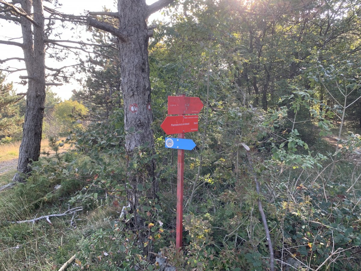 this is the route to take from the top of the hill to Lipica..