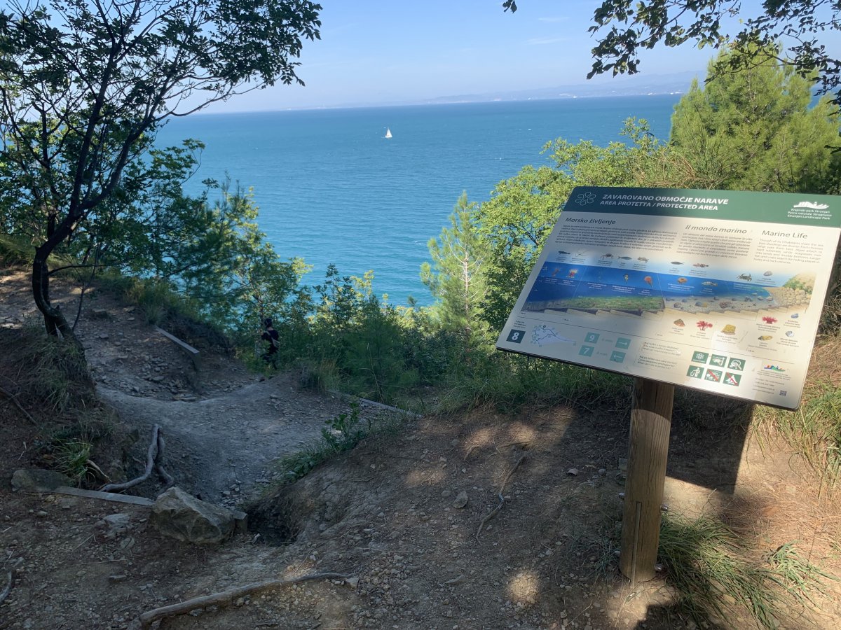 This is where the cliff steps begin down to Moon Bay..