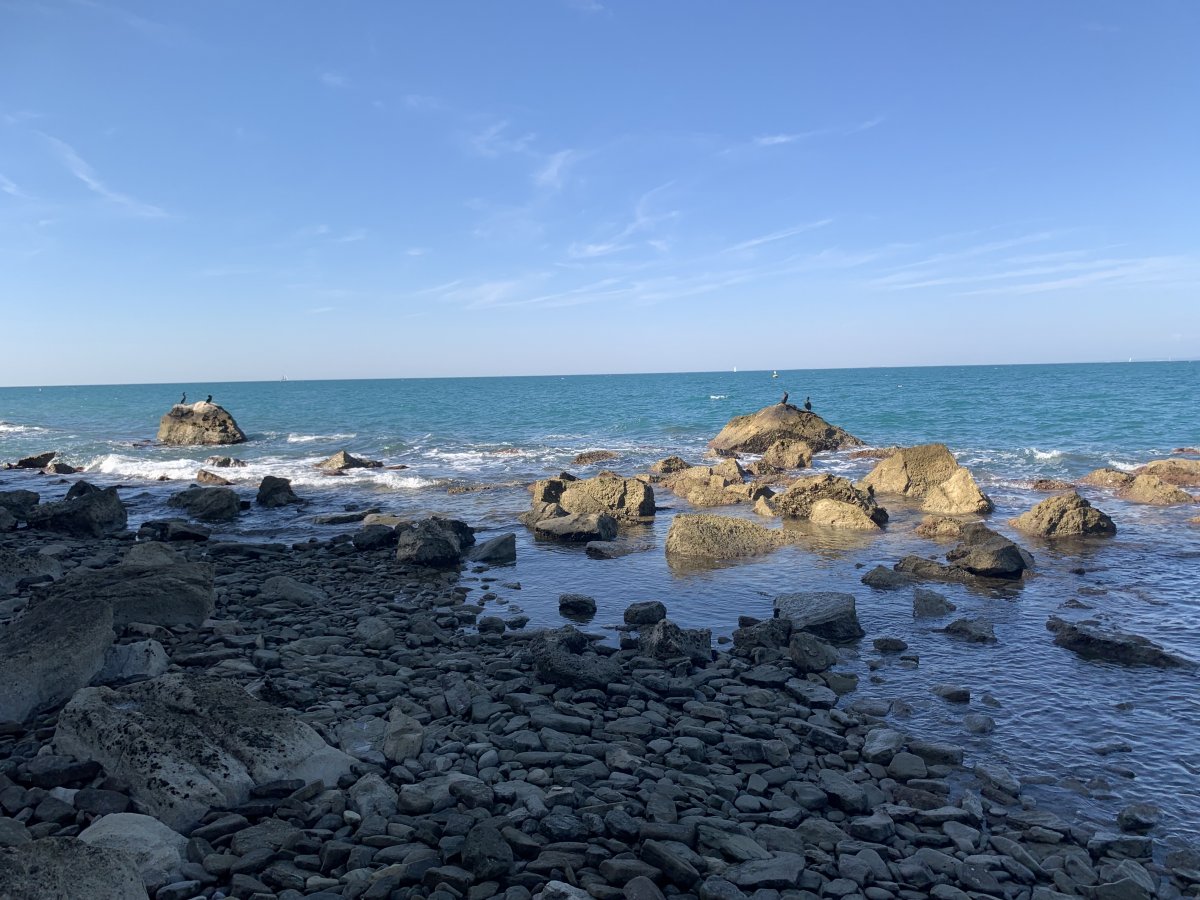 Cormorants sunning themselves on rocks add to the Mediterranean feeling..