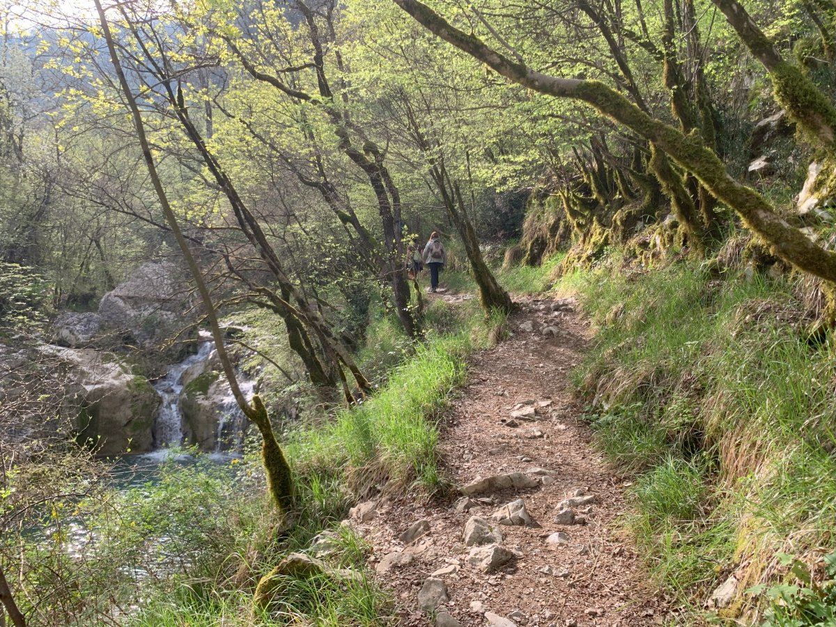 Straightforward forest hiking to the first few waterfalls..
