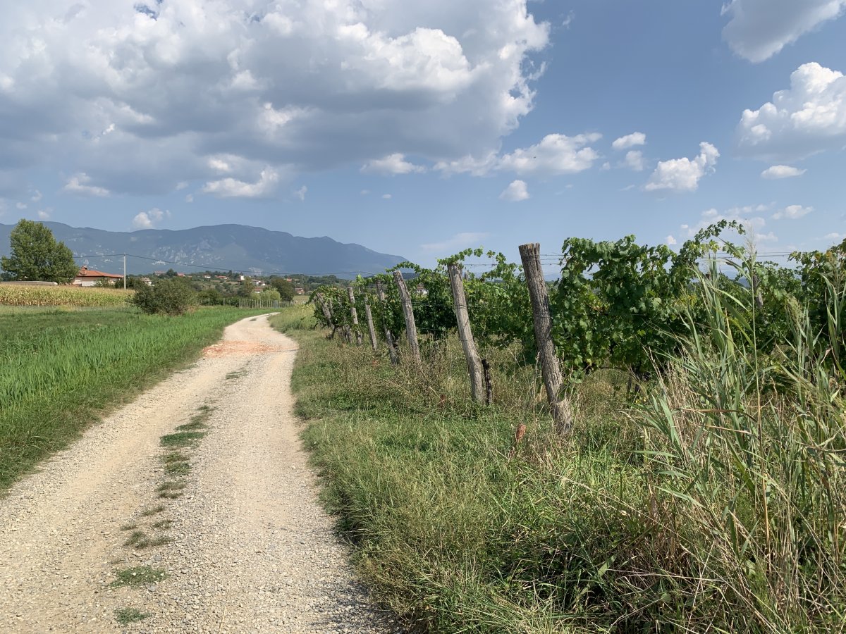 An absolute joy to bike along here in Green paradise.. An absolute joy to bike along here in Green paradise..