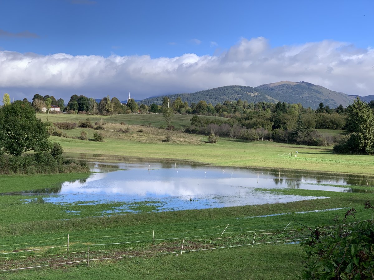 It doesn't seem much when compared to its neighbours, but we were so excited to see the Klenik Disappearing lake appear..