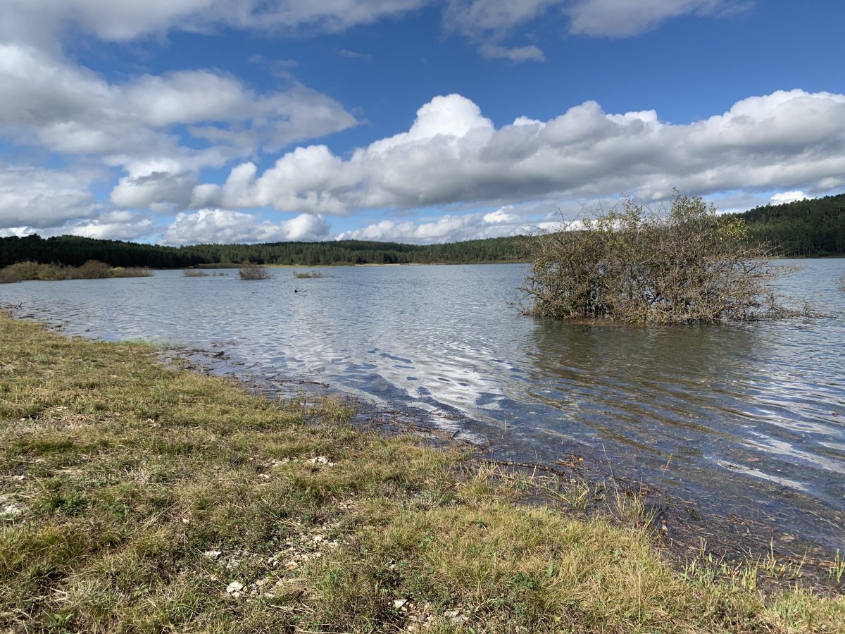 Next to the expanding shore line of the Palce lake..