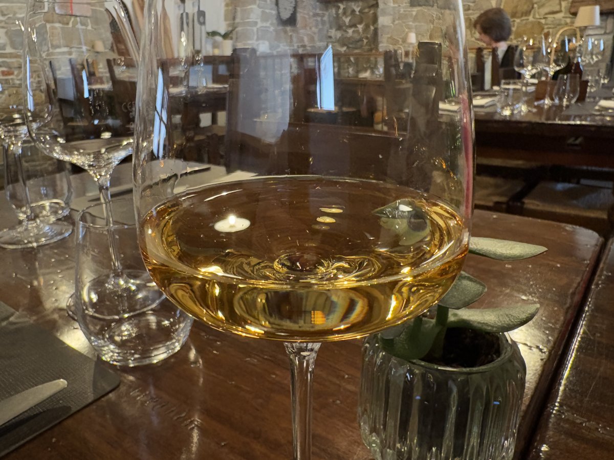 Brda.. Check out the beautiful golden colour of the local Rebula wine in Brda.. Brda.. Check out the beautiful golden colour of the local Rebula wine in Brda..
