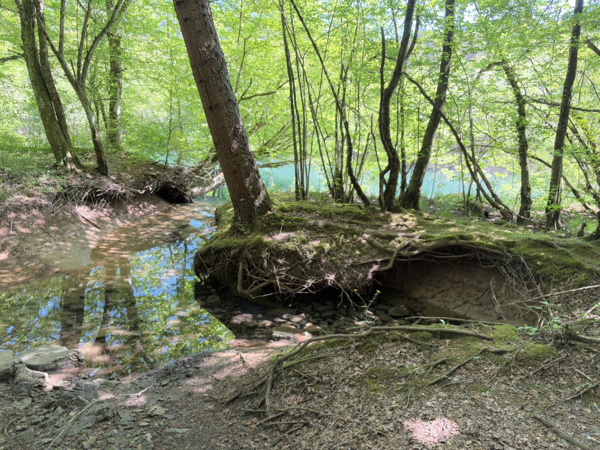 You might not be walking for 2 hours, there are a lot of photos to take on the way..