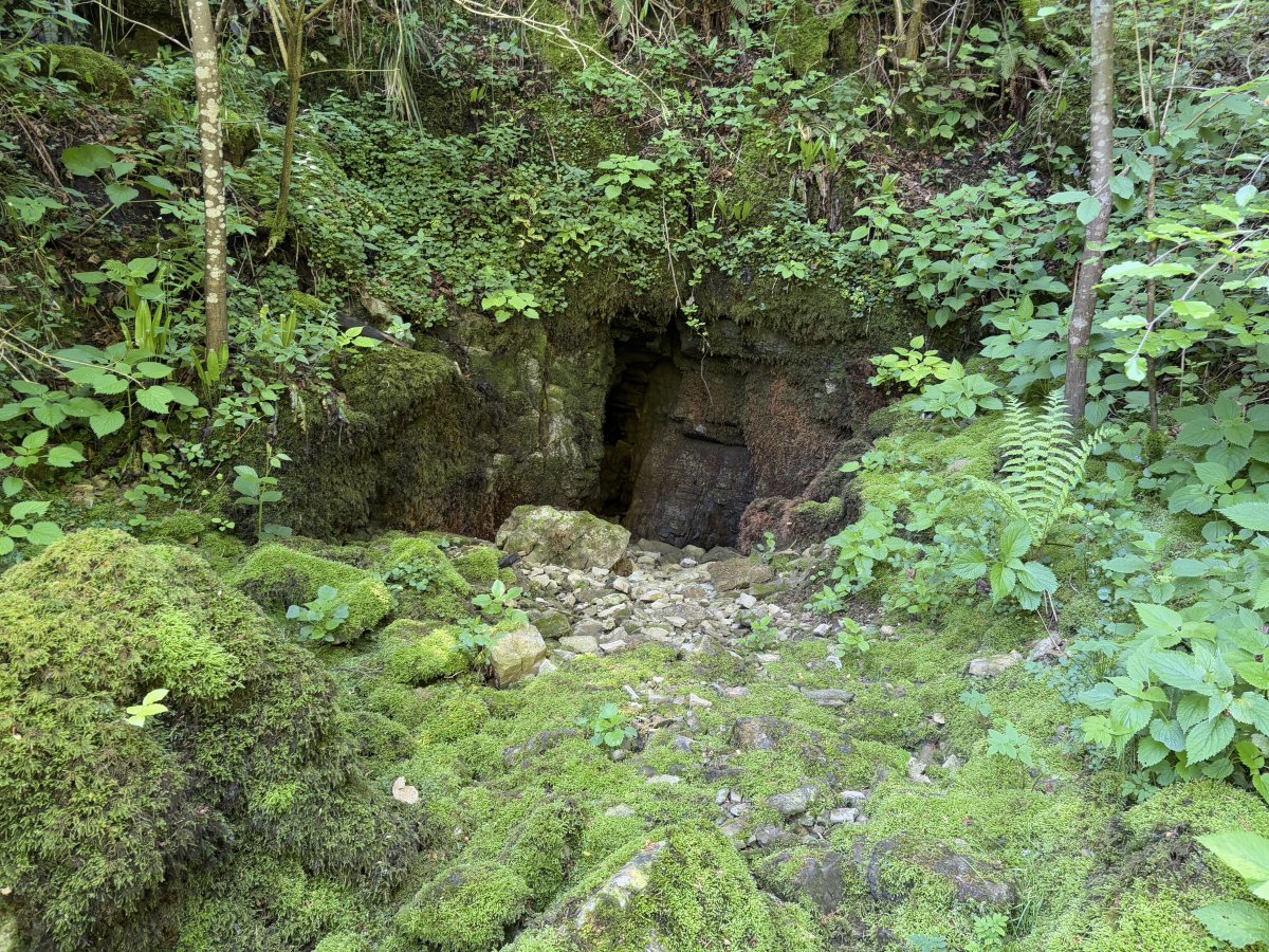 This 2 hour 4km hike is nothing short of sensational, with 12 springs to find along the way..