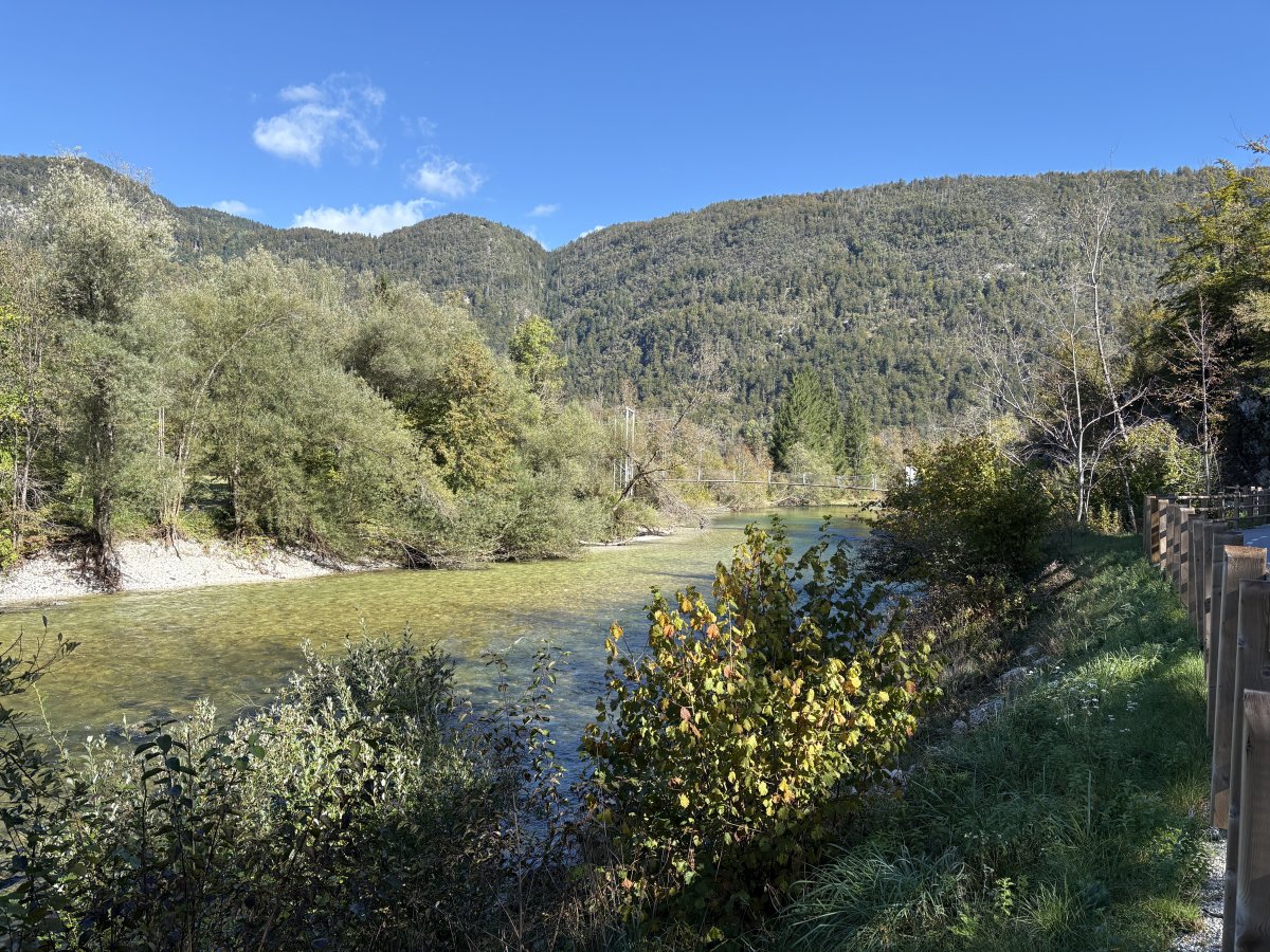 There are lots of little white beaches along the main Sava Bohinjka river to relax on in the summer and even today in Oct, we saw some nutters swimming.. There are lots of little white beaches along the main Sava Bohinjka river to relax on in the summer and even today in Oct, we saw some nutters swimming..