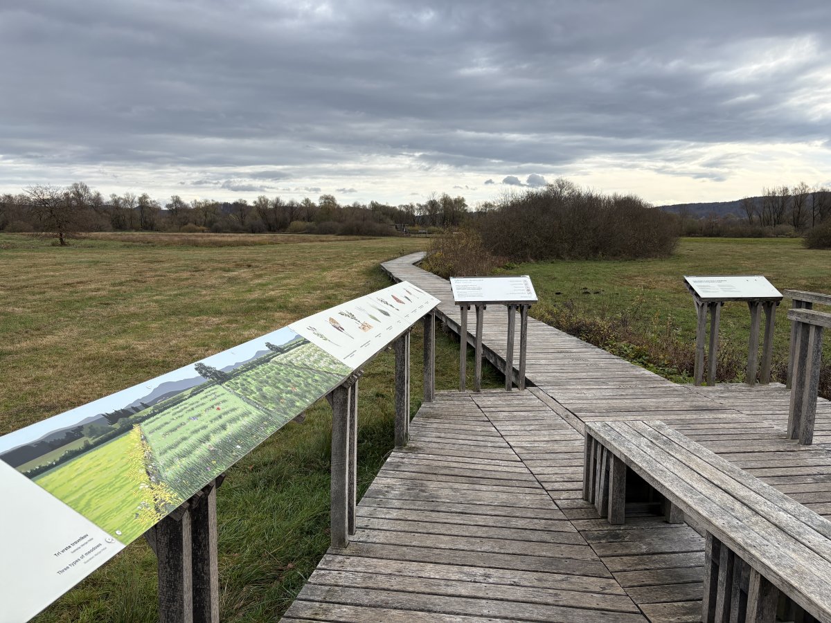 The first info station and start of the boardwalk.. The first info station and start of the boardwalk..