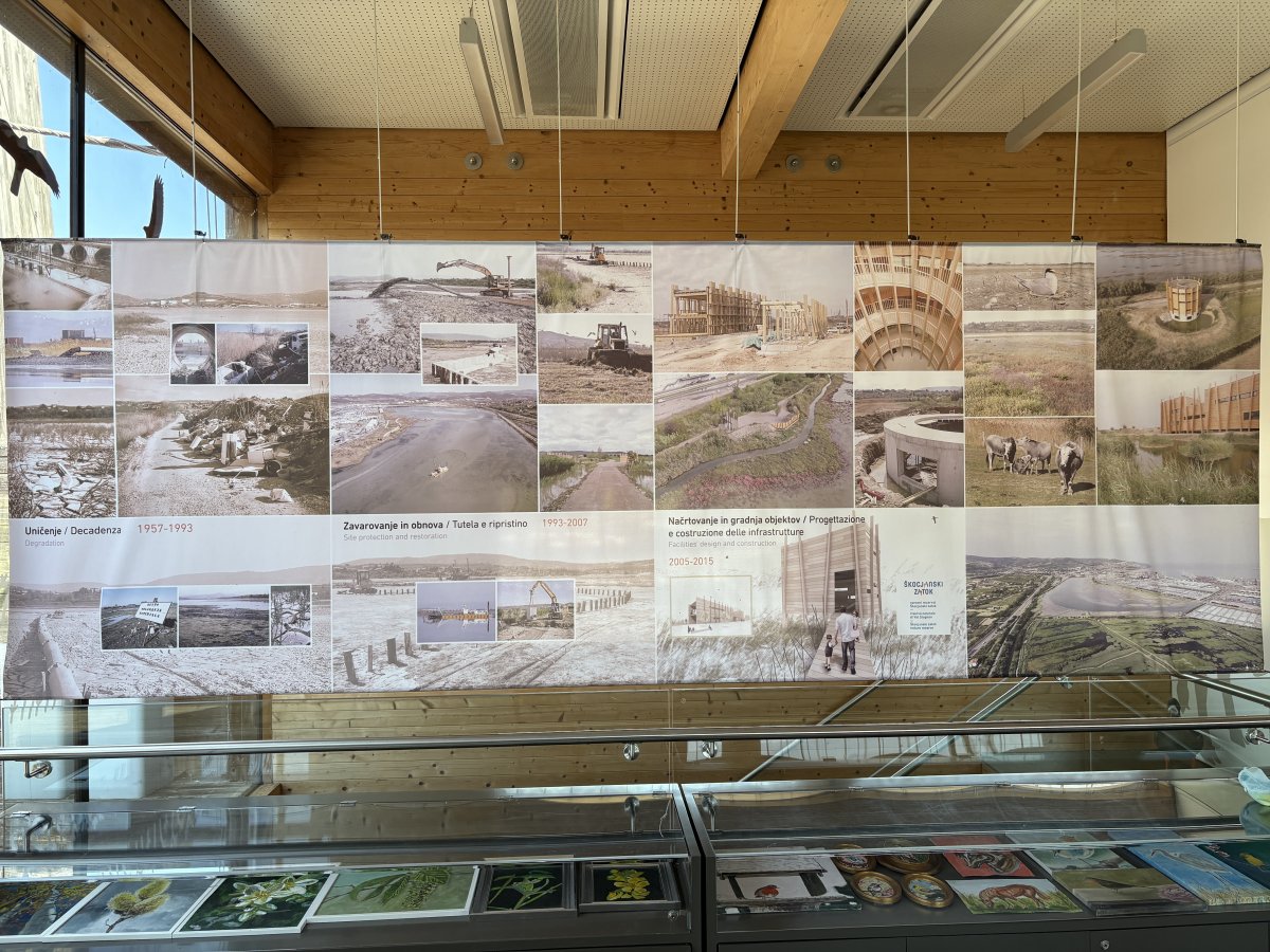 Don't forget to go upstairs above the cafe to see how this was all done and some more great views..