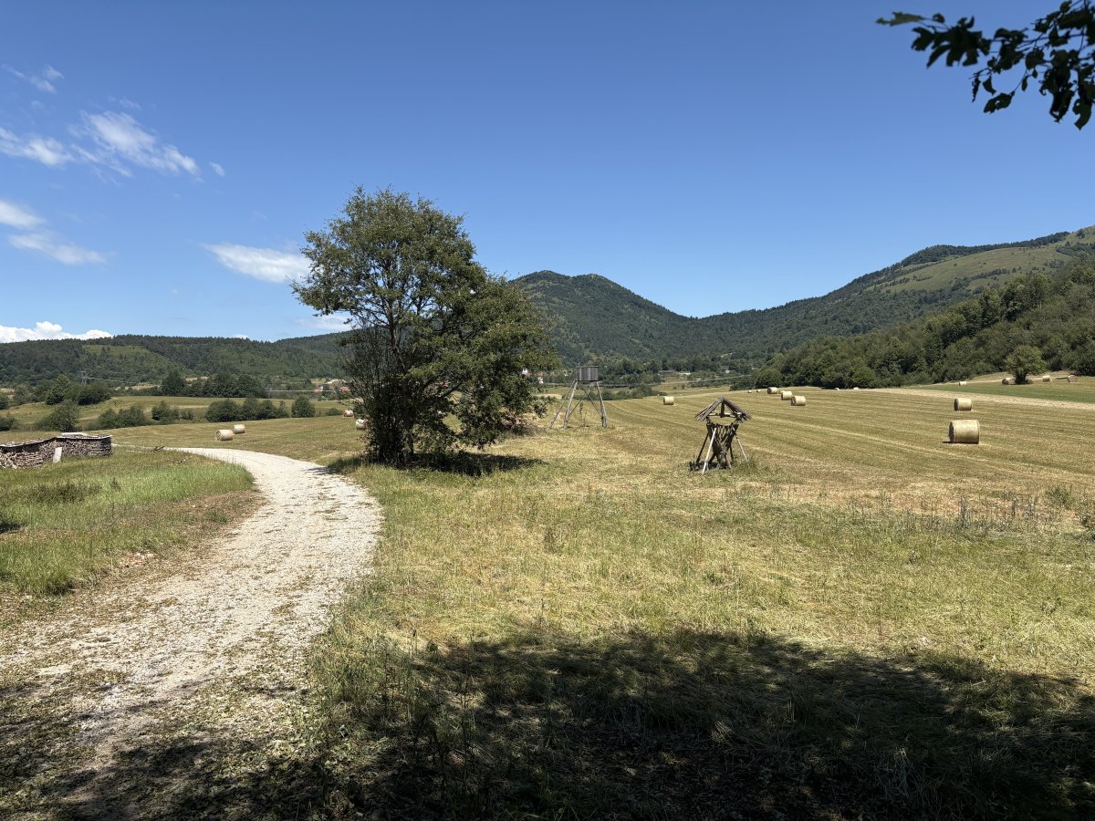 Endless hiking and biking in Green Paradise.. Endless hiking and biking in Green Paradise..