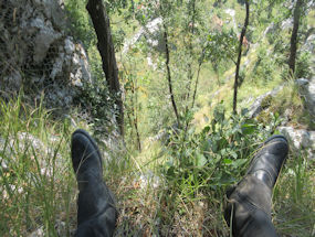 relaxing in the slovenian forest