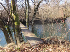 bridge across little nanos