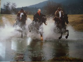 horse riding in a lake in slovenia
