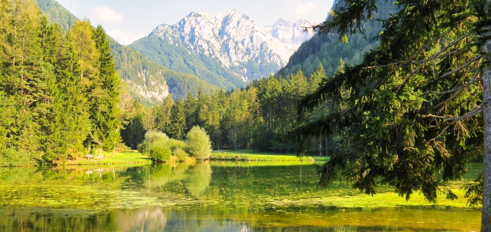07 - jezero_vista2
